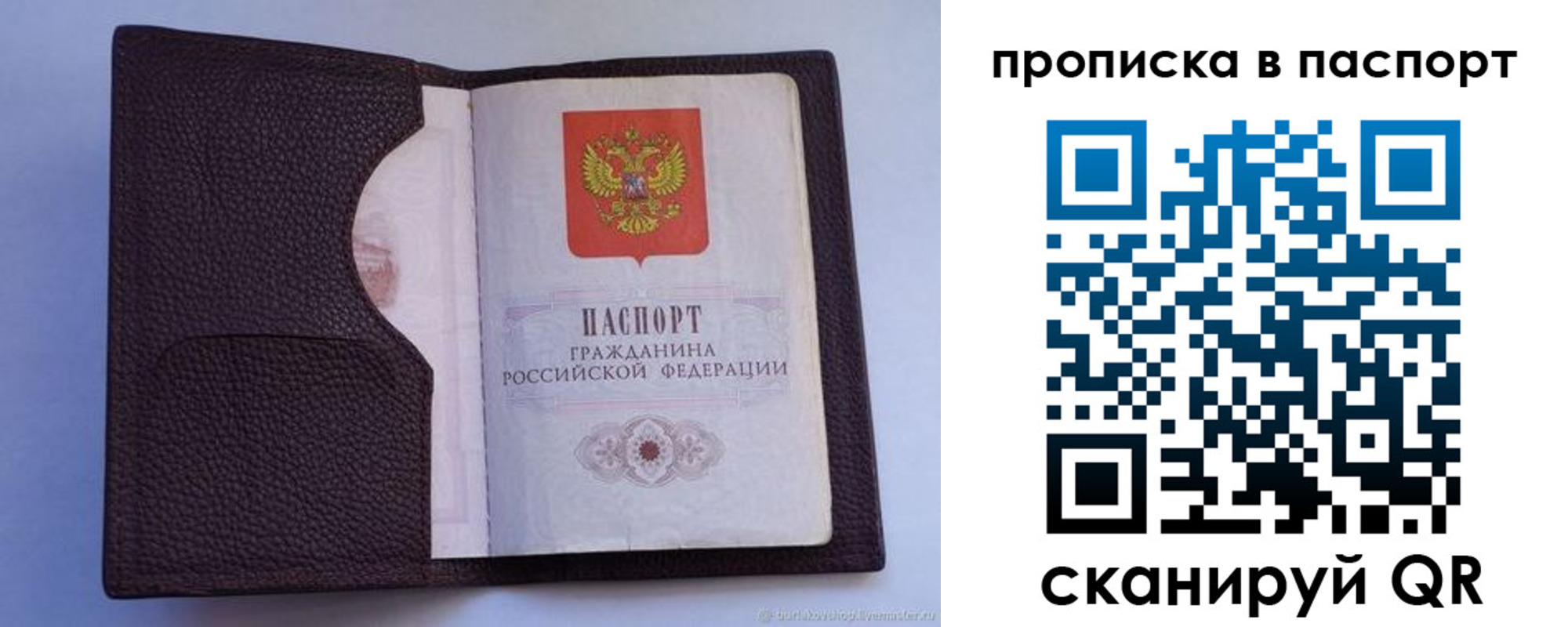 прописка законно в Ельце